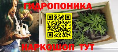 мет Бийск