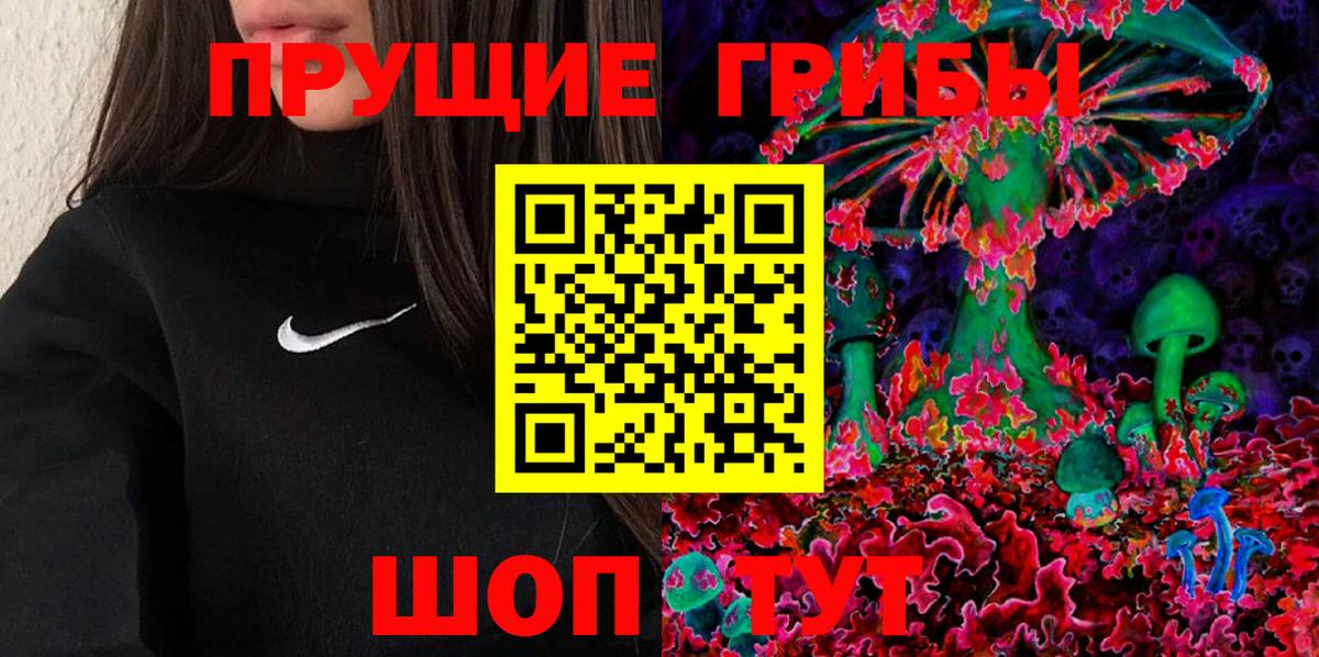 Псилоцибиновые грибы Psilocybe Коломна