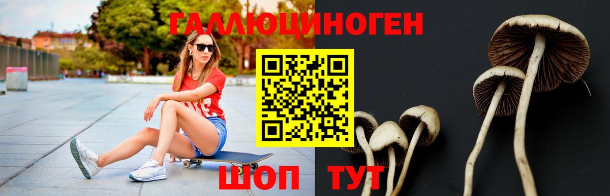 Коломна  Галлюциногенные грибы Cubensis  Псилоцибиновые грибы Psilocybine cubensis  Вход с VPN 